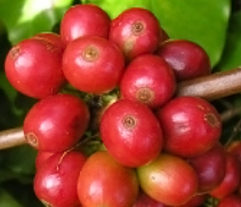 gallerry13.jpg