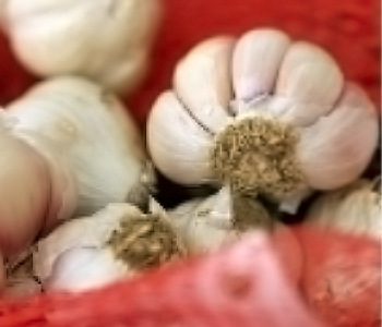 gallerry5.jpg